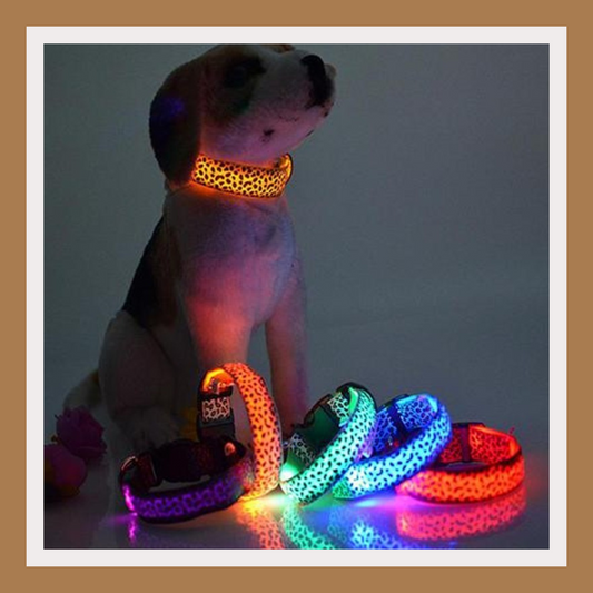 LED Dog Collar
