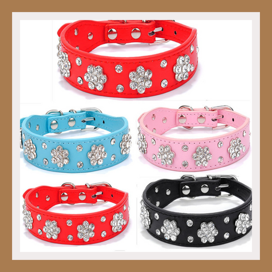 Rhinestone Plum Pet Dog Collar