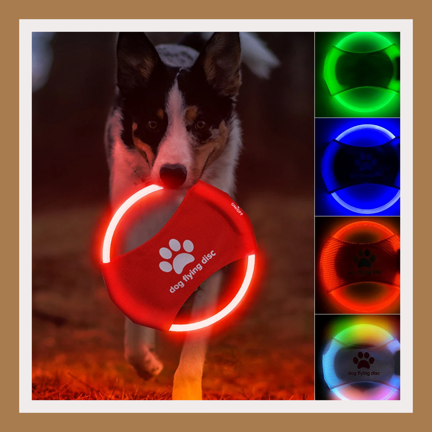 LED Light-Up Dog Flying Disc