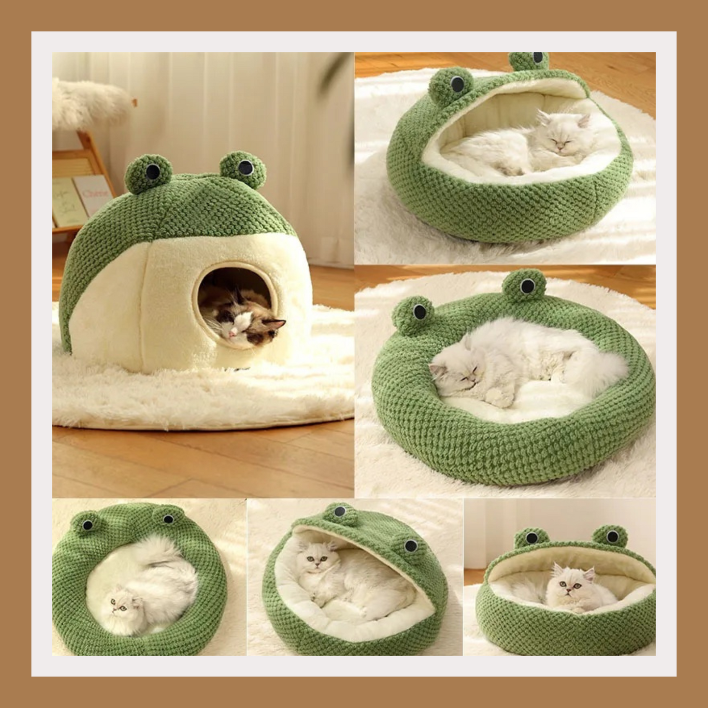 Little Frog Series