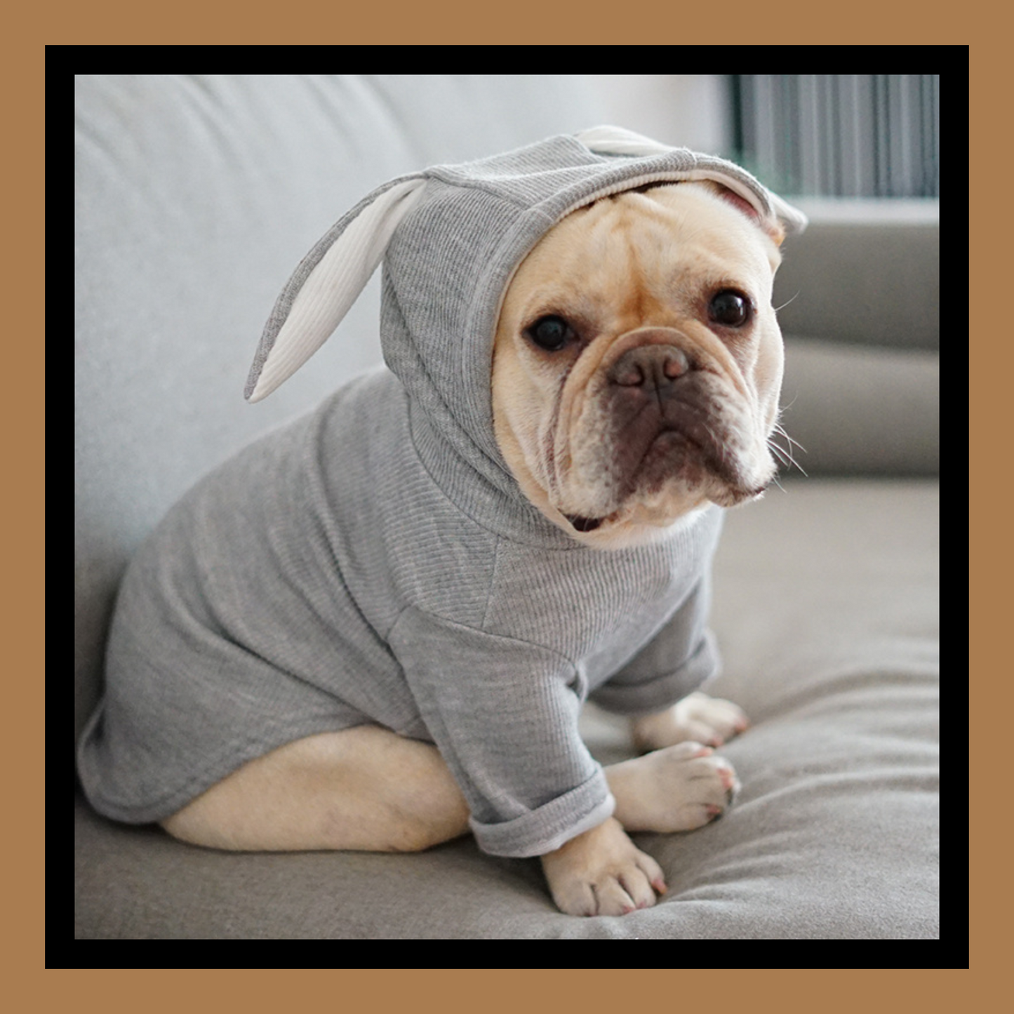 Cozy Spring & Autumn Dog Sweater