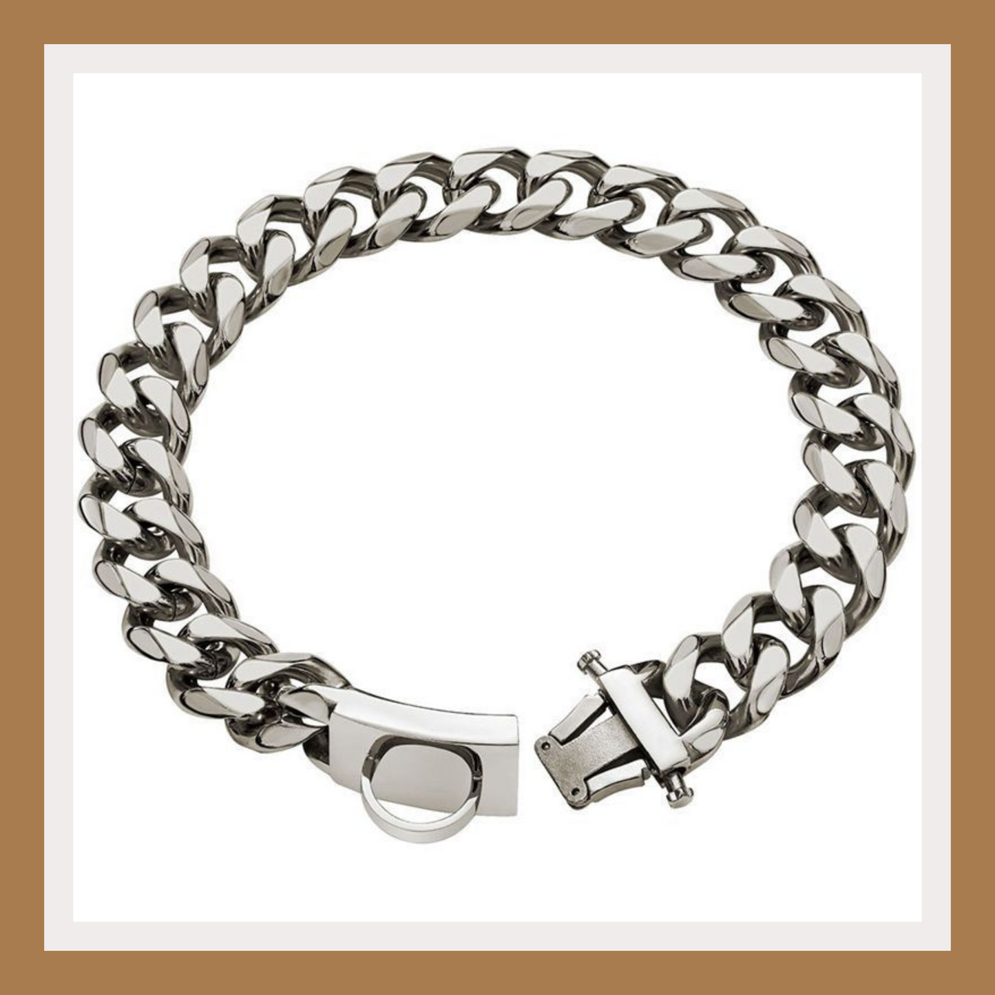 Heavy-Duty Stainless Steel Dog Collar