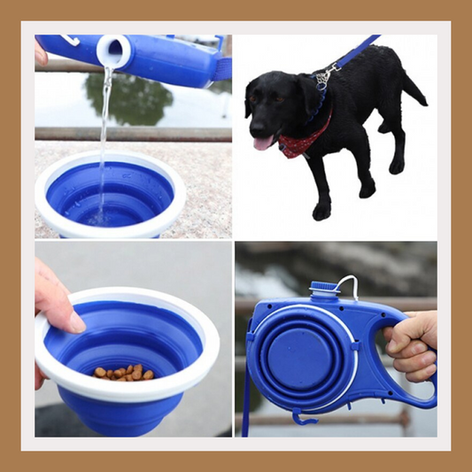 3-in-1 Dog Leash Set with Water Bottle & Bowl