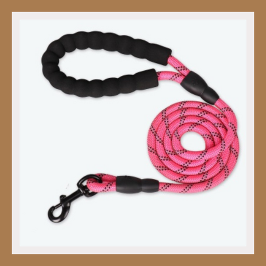 Reflective Nylon Dog Leash
