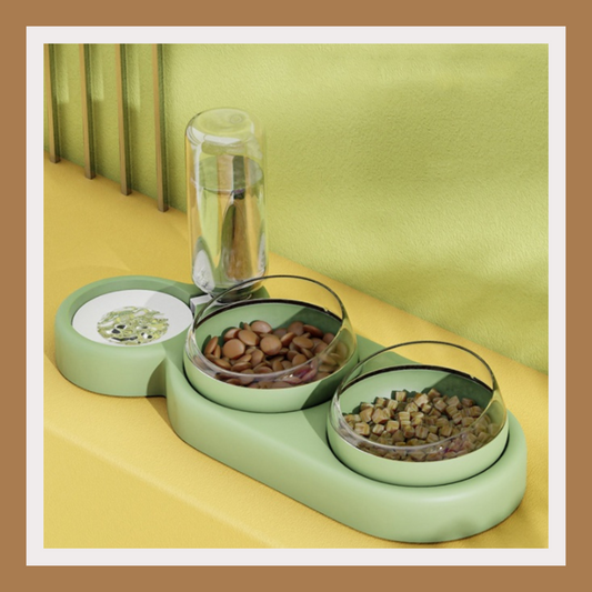 Automatic Pet Bowl Feeder with Water Fountain