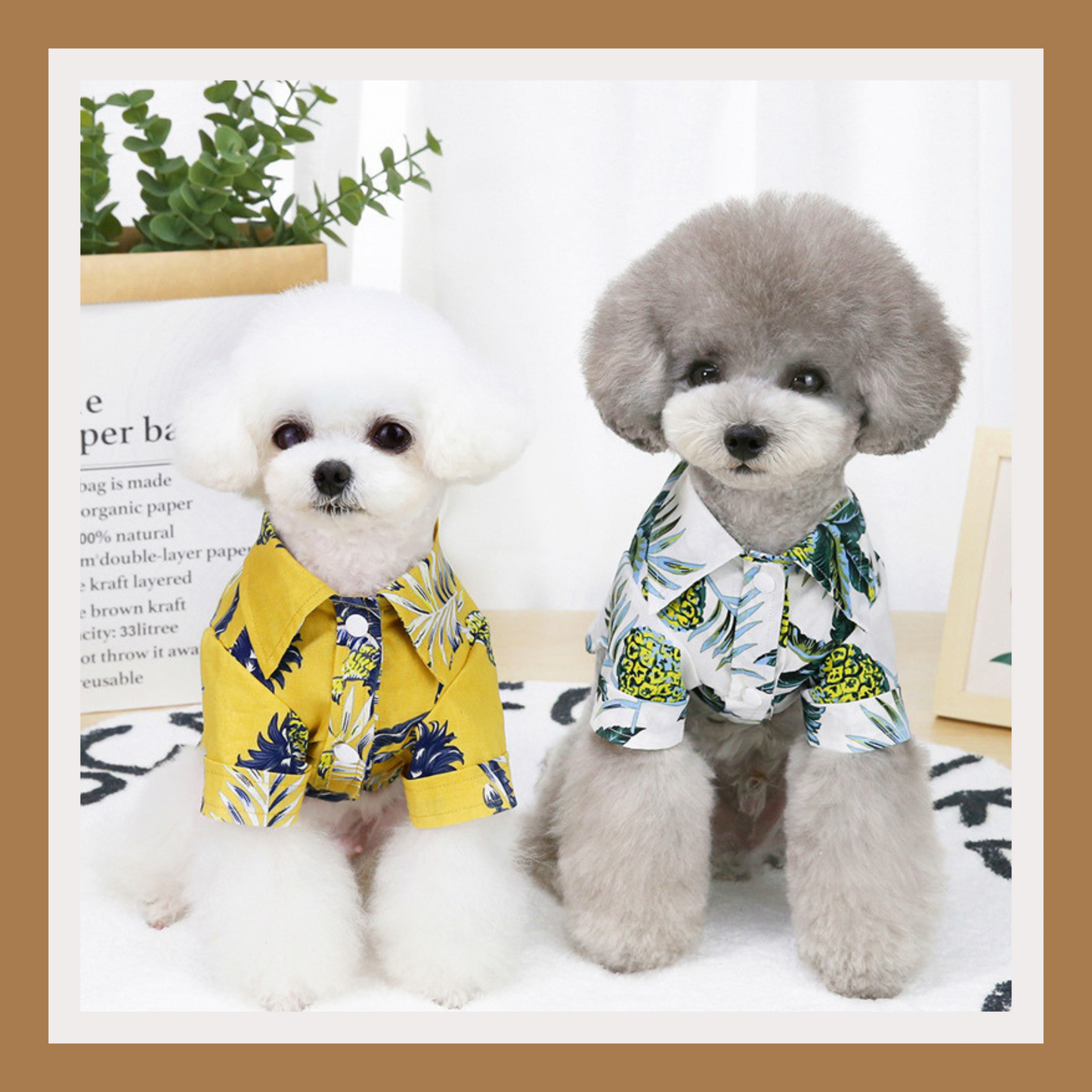 Summer Hawaiian Pet Shirt