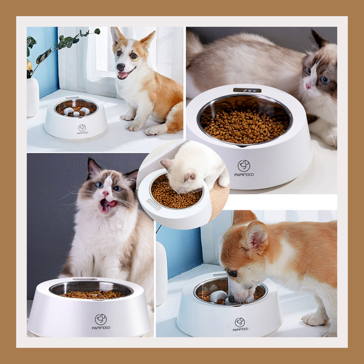 Smart Weighing Slow Feeder Bowl