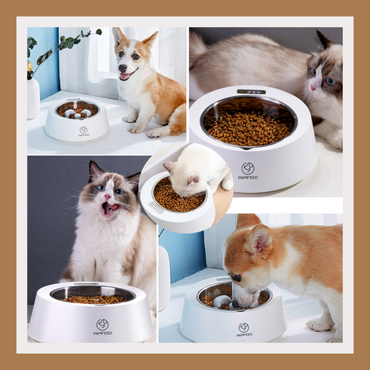 Smart Weighing Slow Feeder Bowl