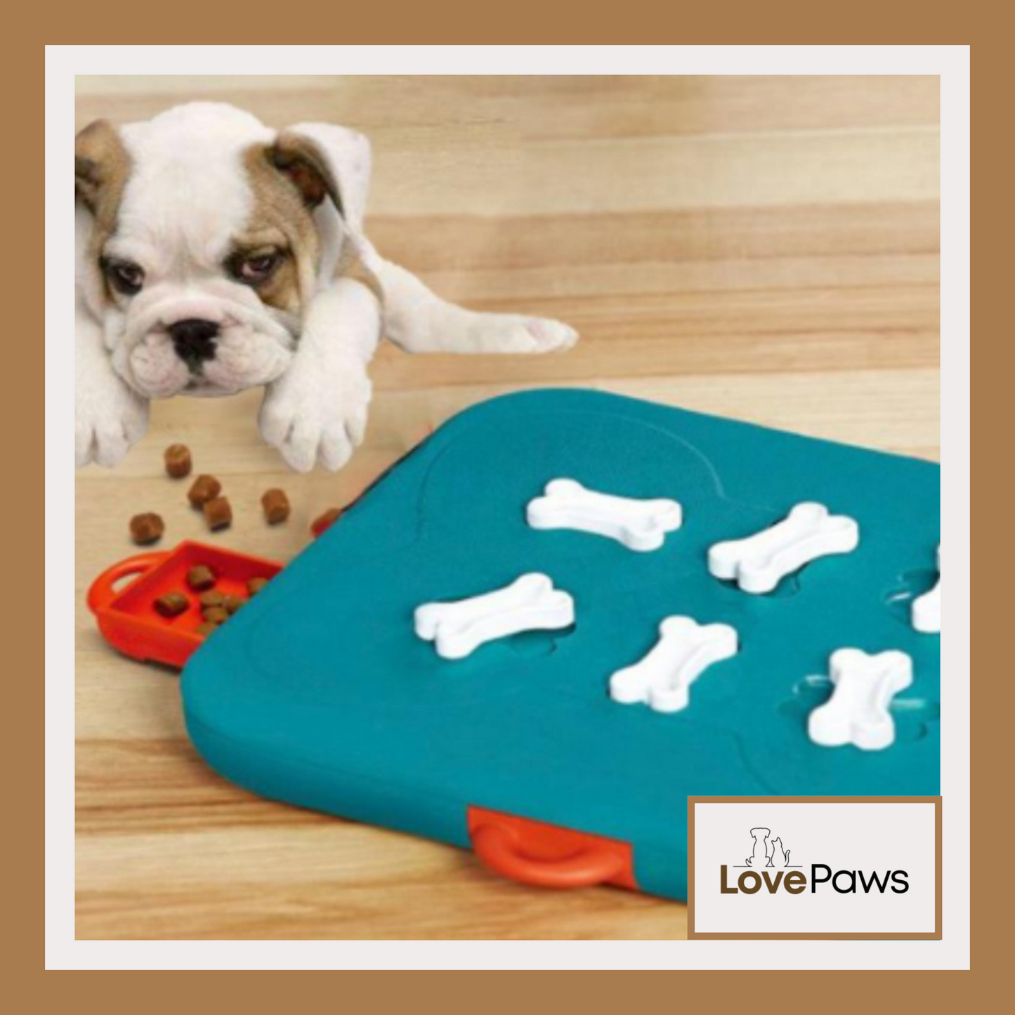 Interactive Pet Casino Puzzle Toy