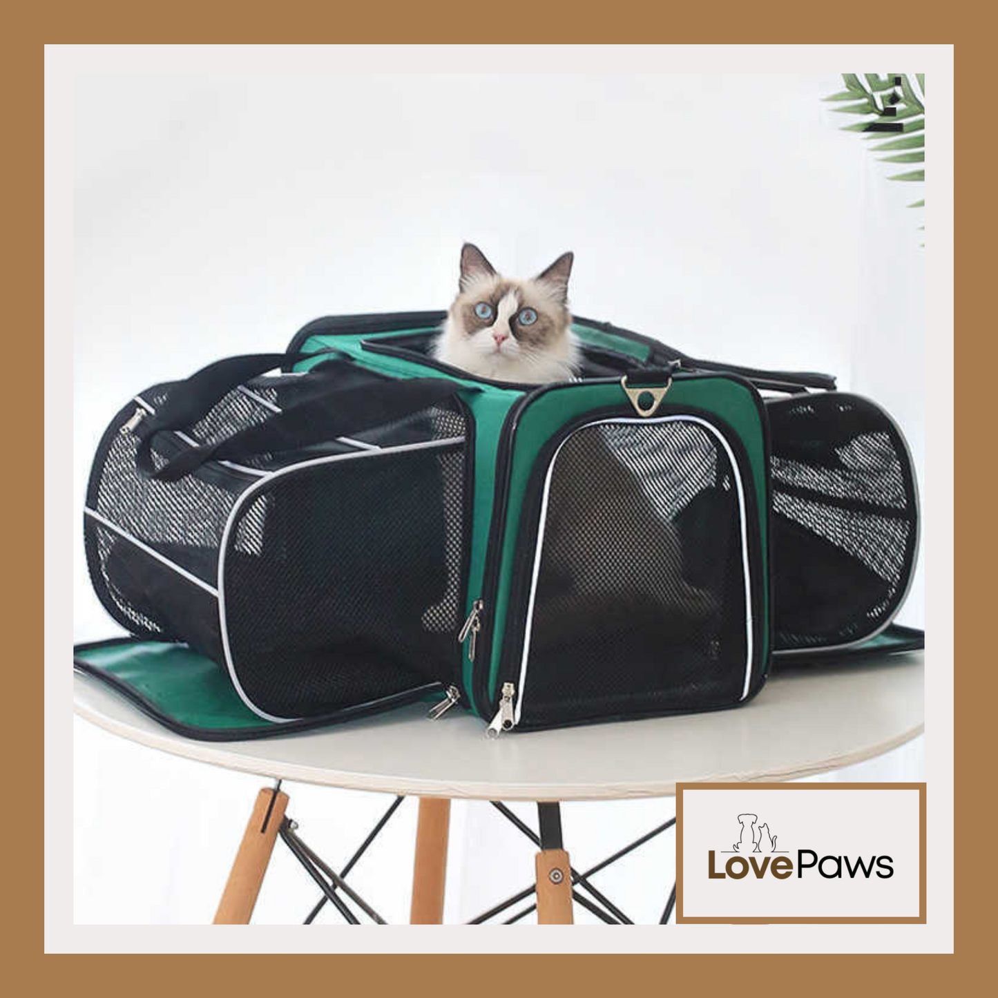 Pets Go Out Space Capsule Backpack