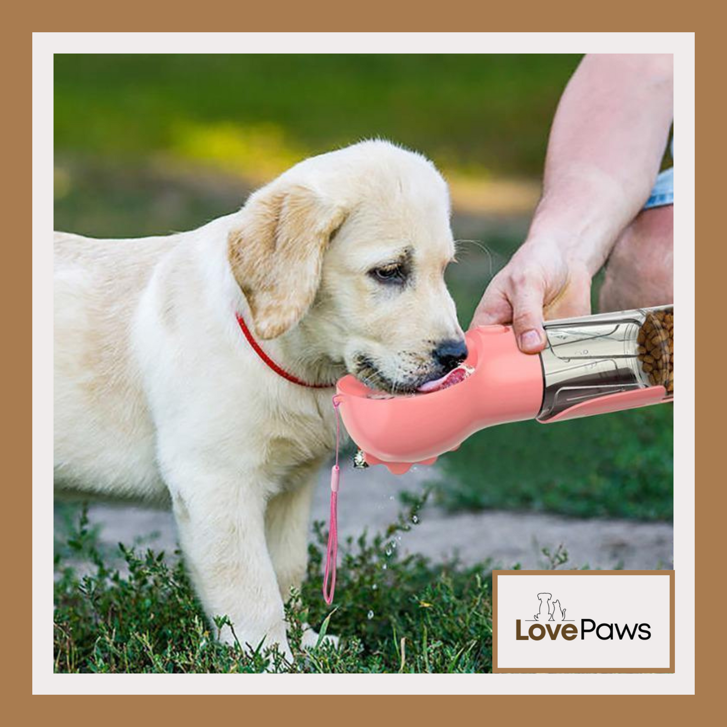 3-in-1 Portable Pet Water Bottle