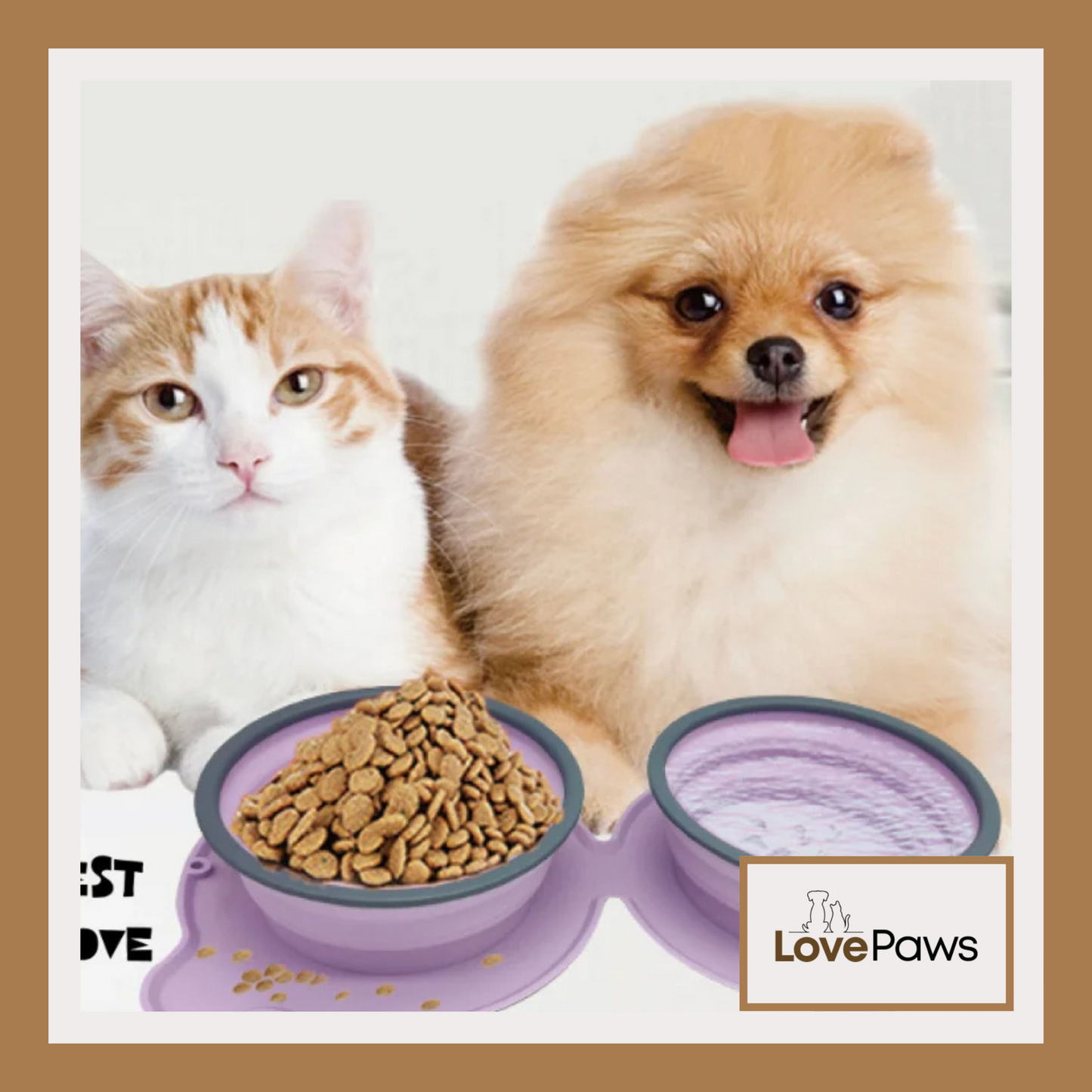 Portable Silicone Double Bowl