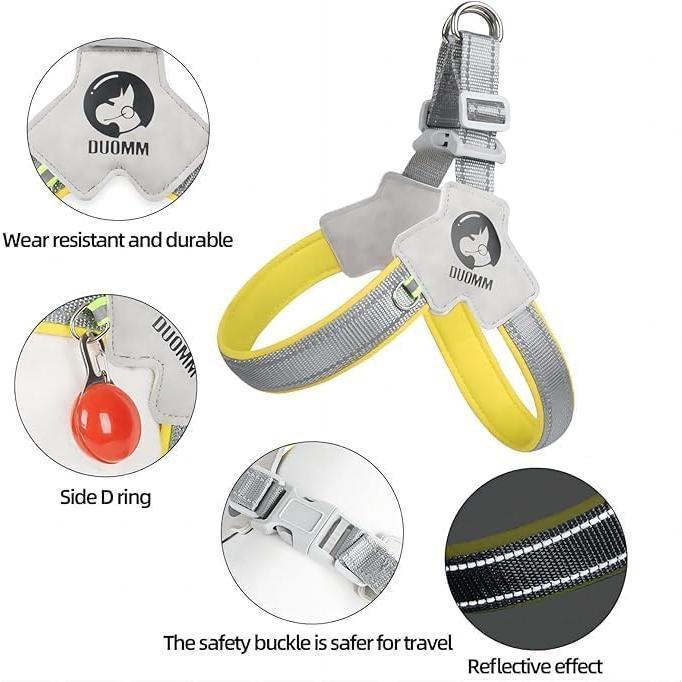 Adjustable Pet Harness & Leash Set