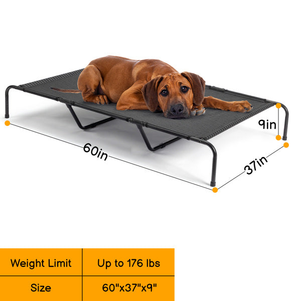 Elevated Pet Bed