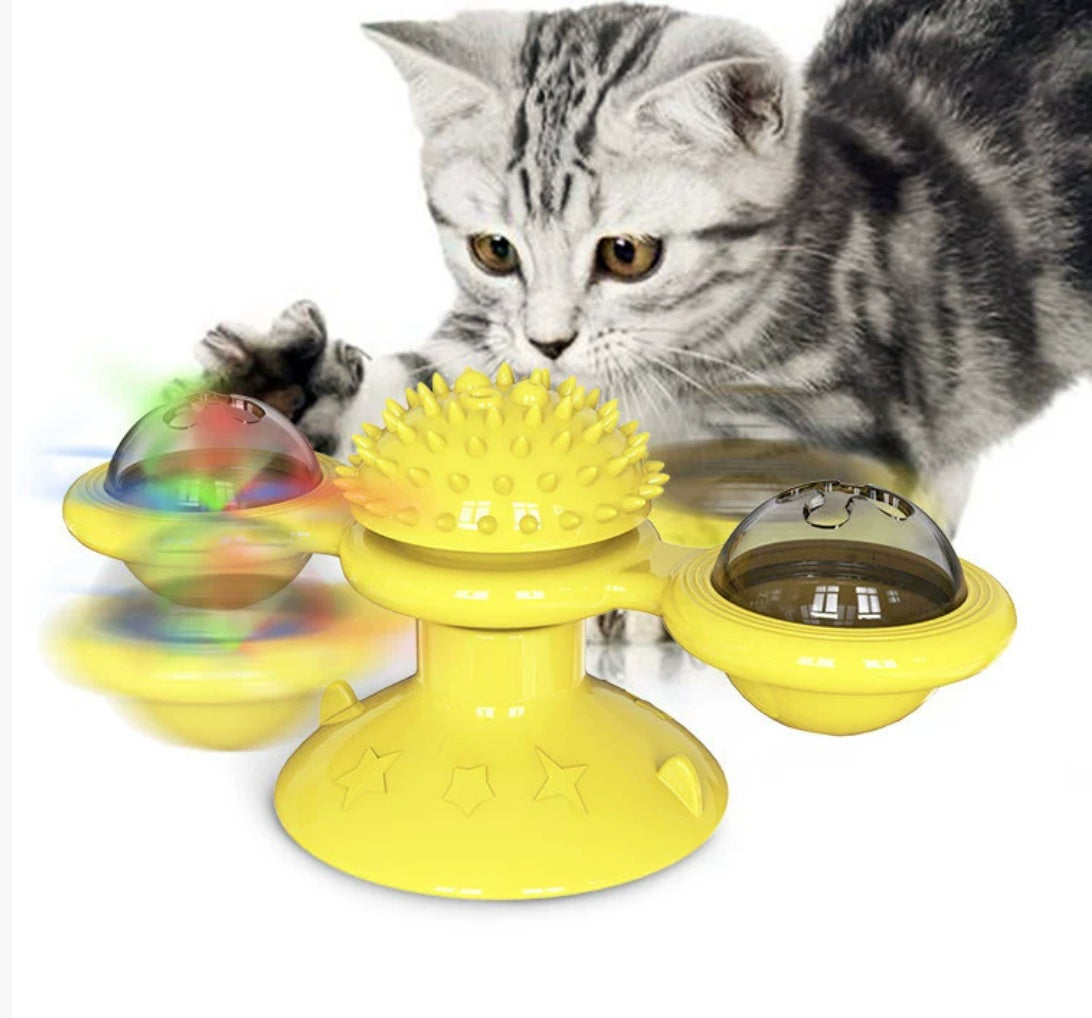Cat Entertainment Set
