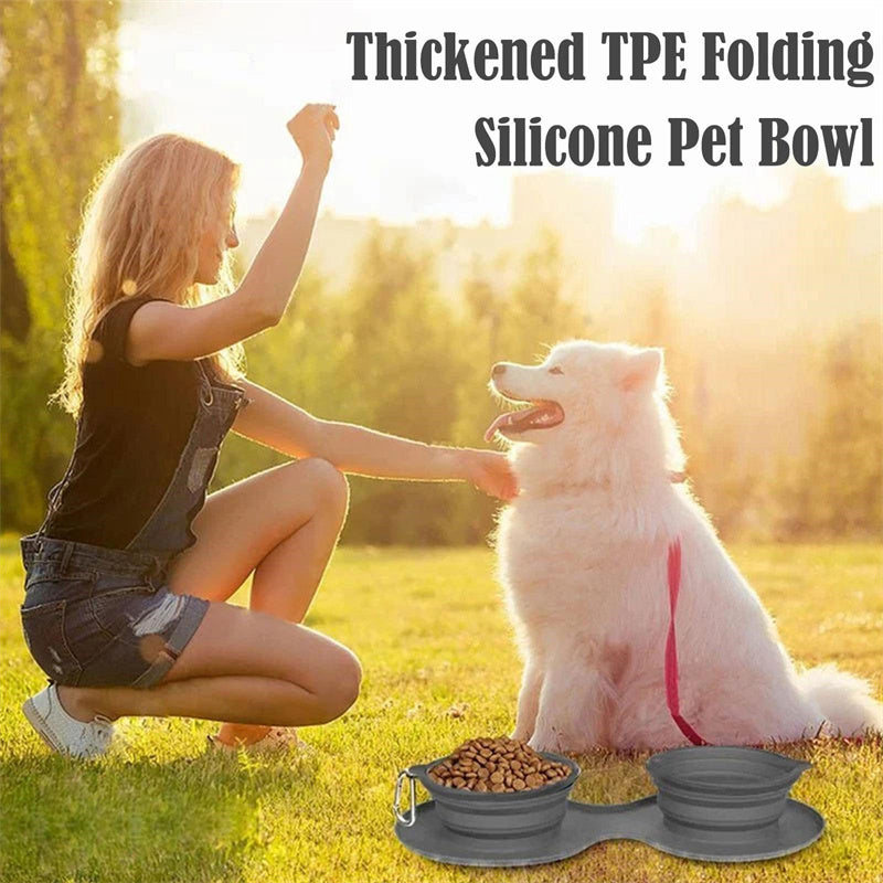 Foldable Silicone Double Pet Bowl