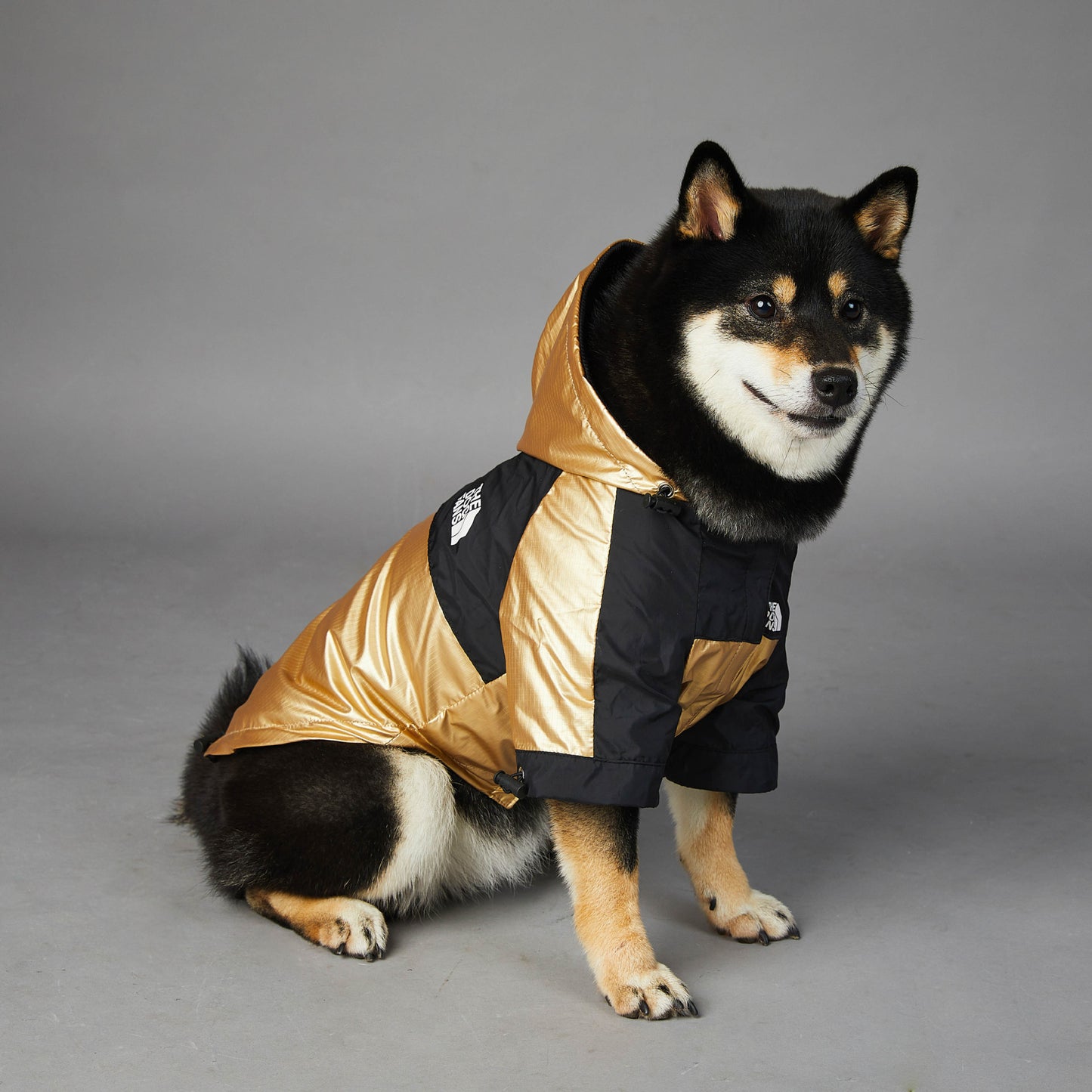 Gold Waterproof Raincoat Jacket