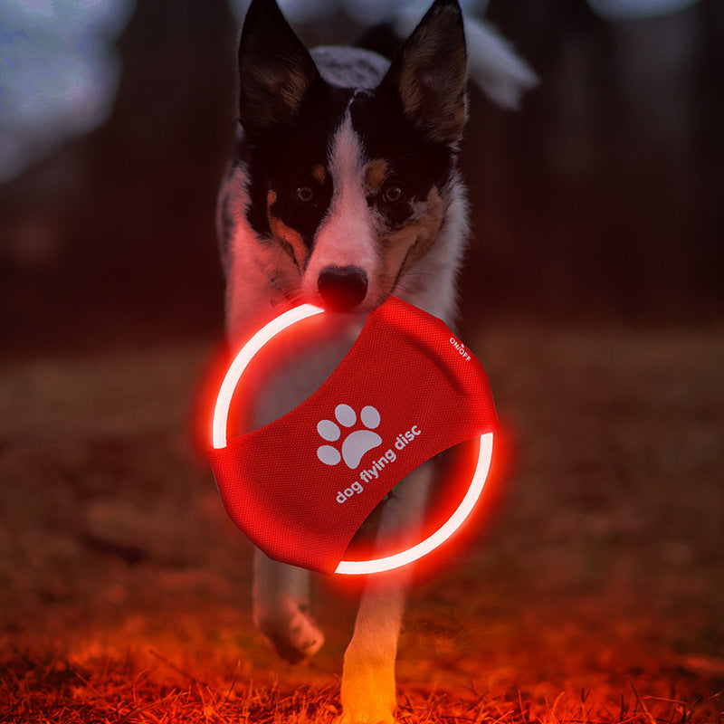 LED Light-Up Dog Flying Disc
