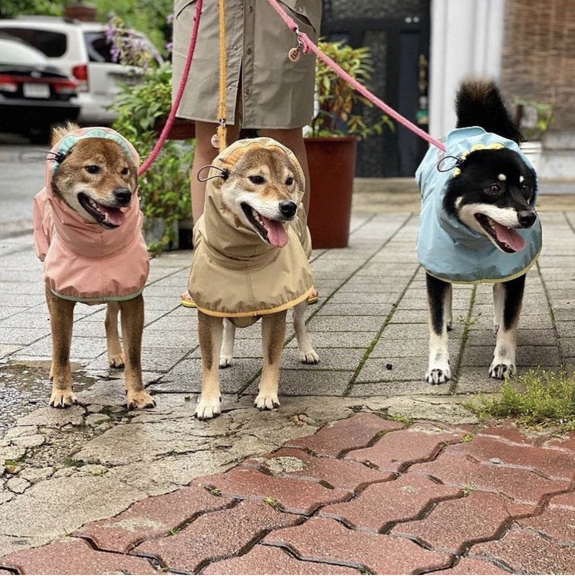 Spliced Dog Raincoat