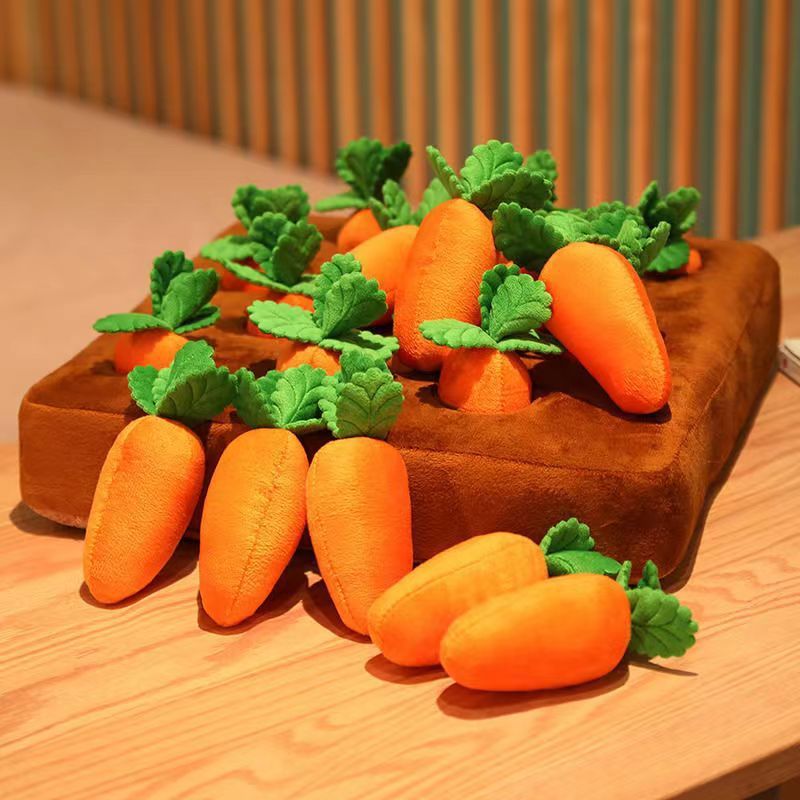 Carrot Snuffle Mat Toy