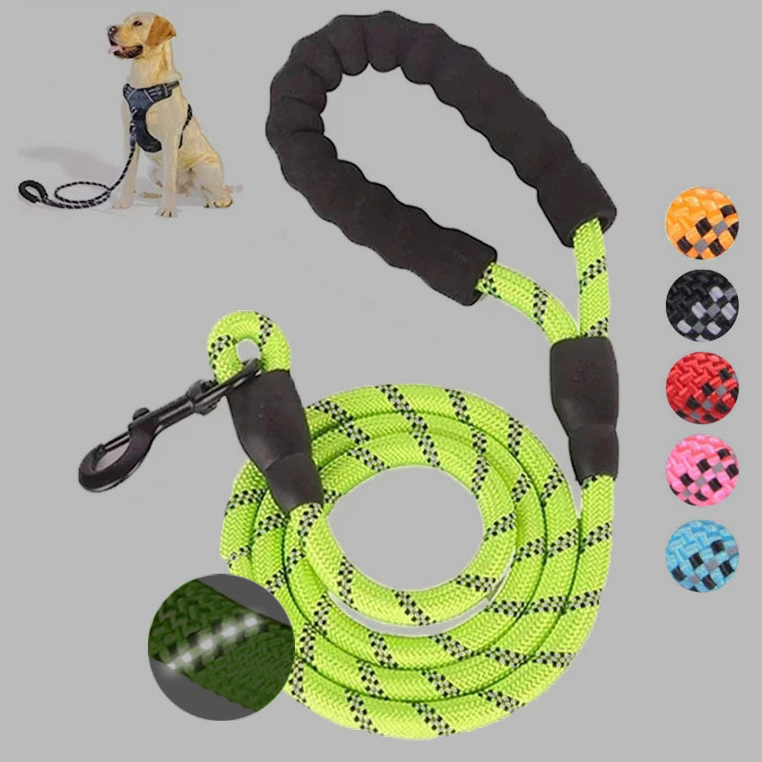 Luminous Dog Leash