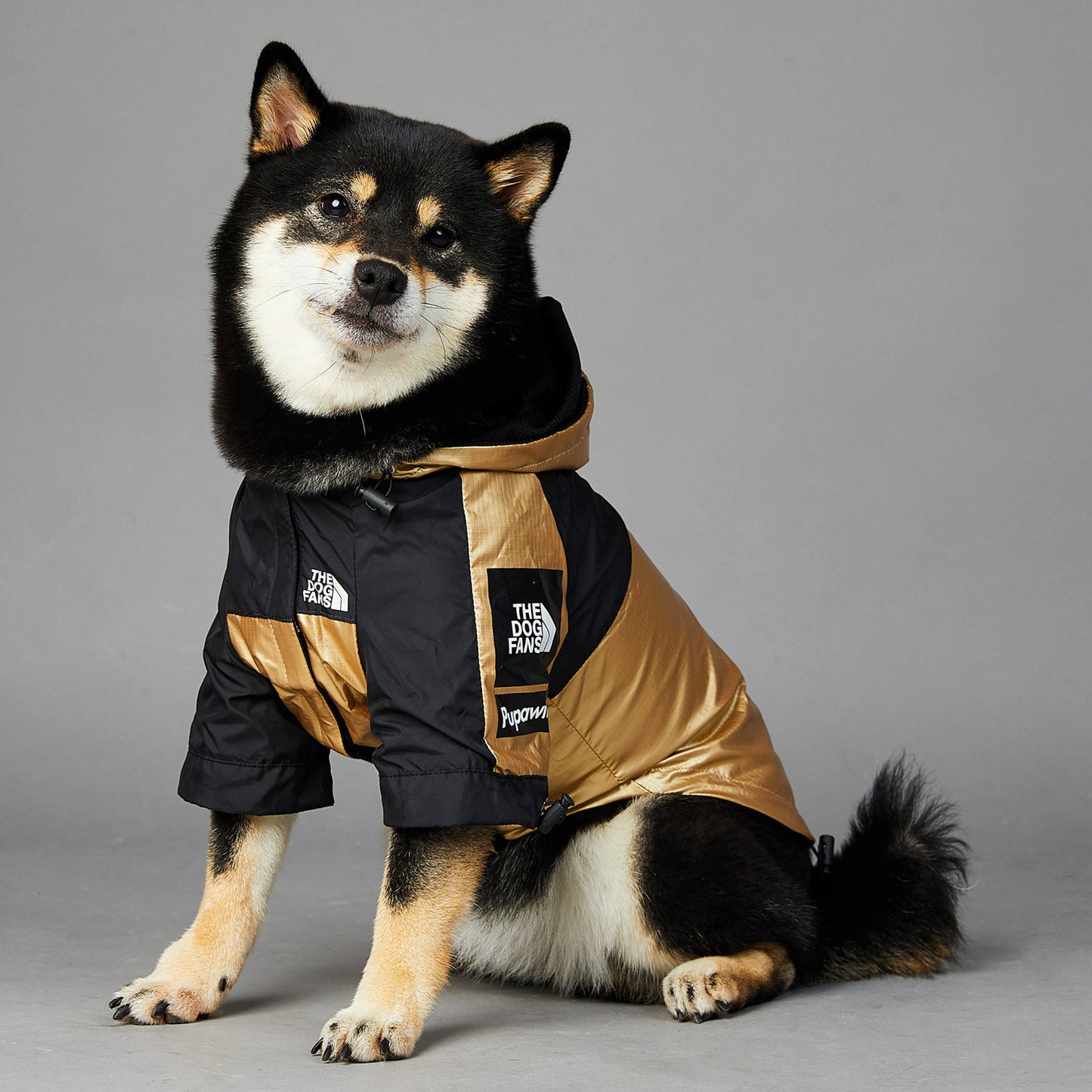 Gold Waterproof Raincoat Jacket