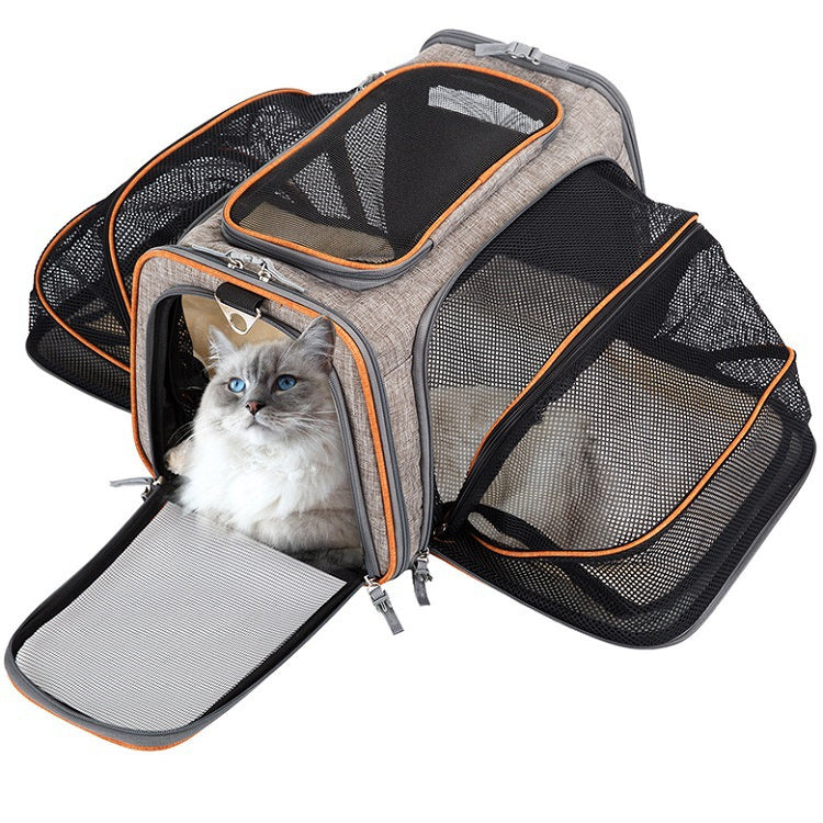 Airline-Approved Expandable Pet Carrier