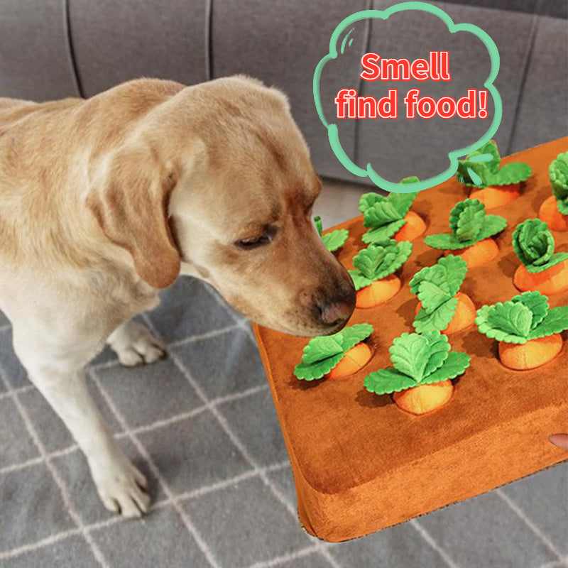 Carrot Snuffle Mat Toy