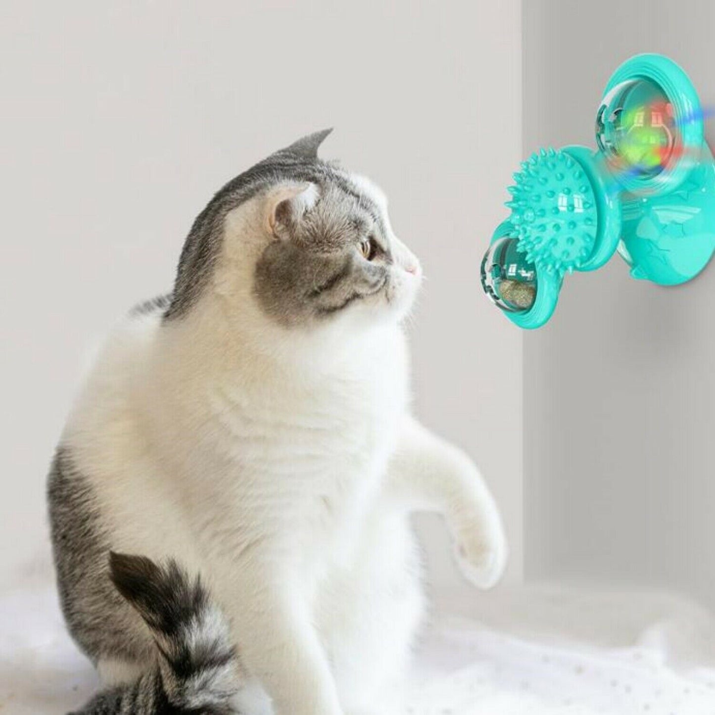 Windmill Cat Spinner Toy