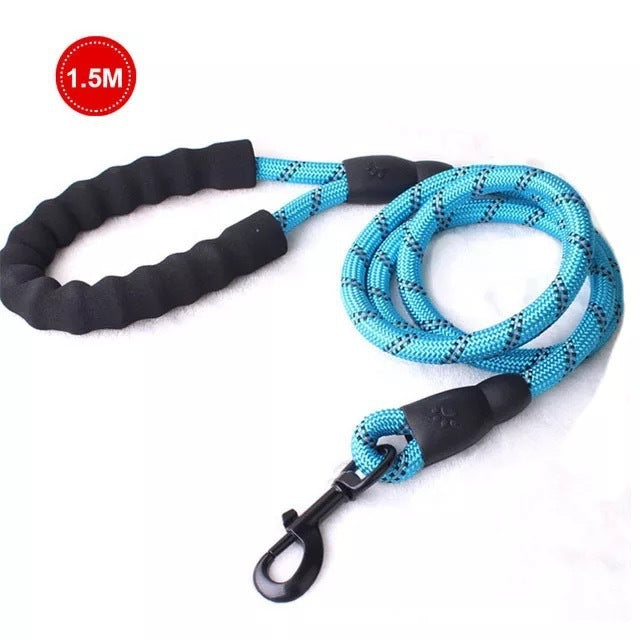 Luminous Dog Leash