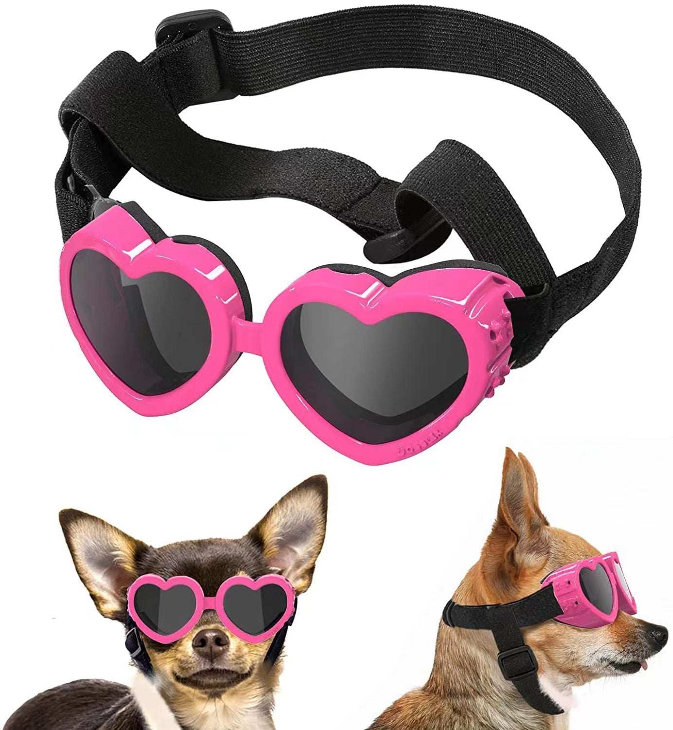 Pet Glasses