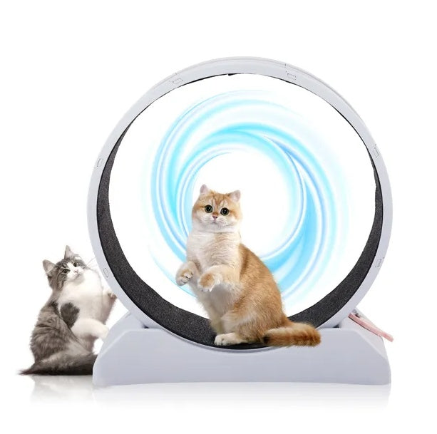 Cat Exercise Wheel