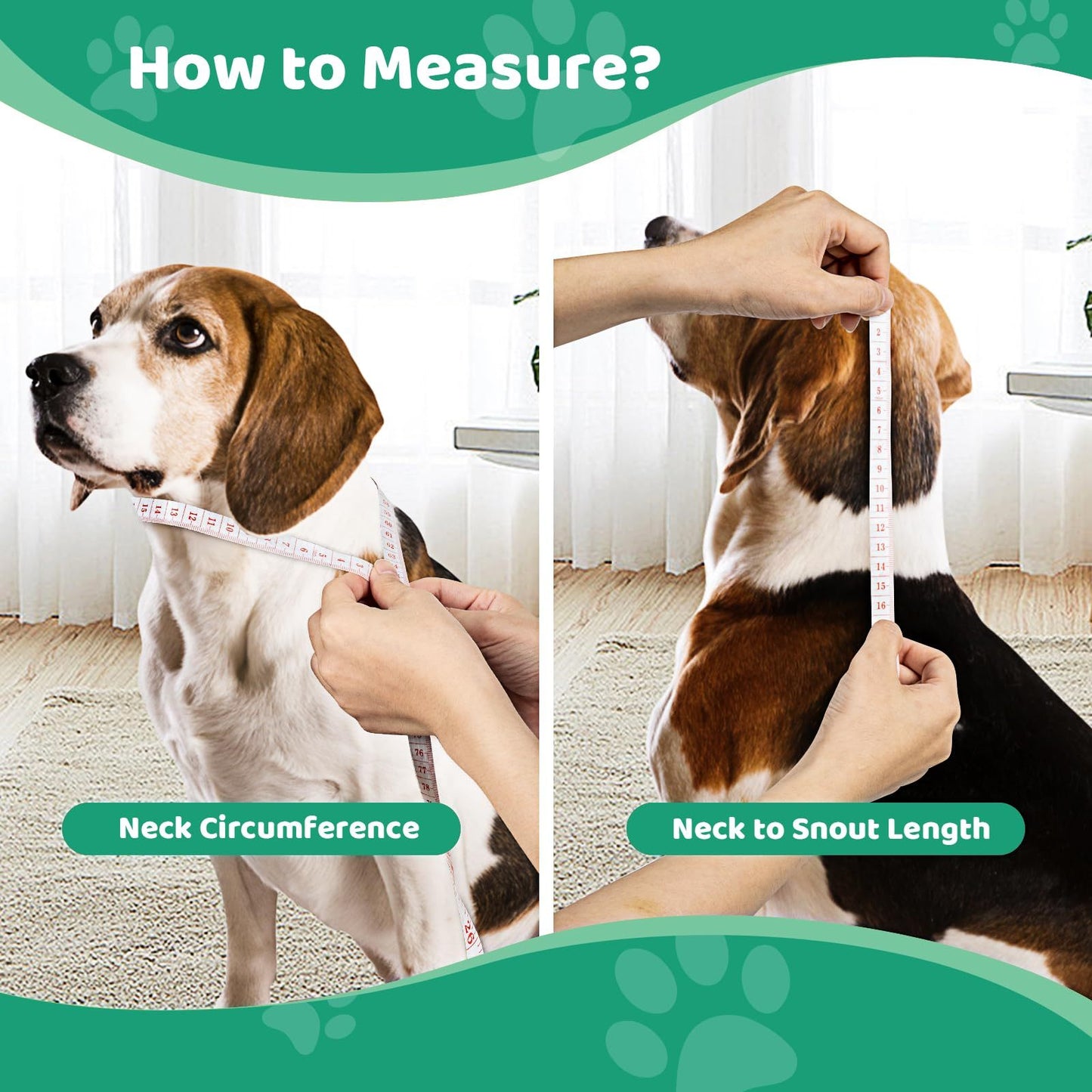 iFurffy Soft Dog Recovery Cone